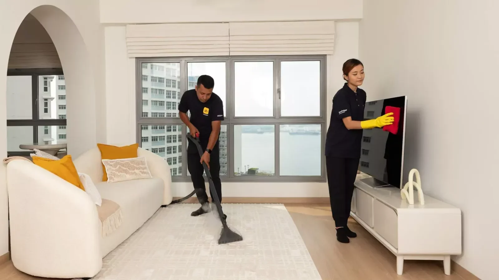 Professional Cleaning Services