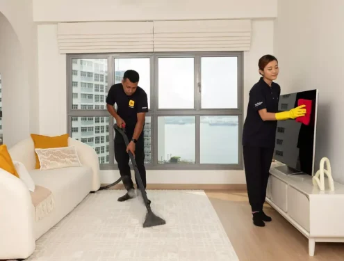 Professional Cleaning Services